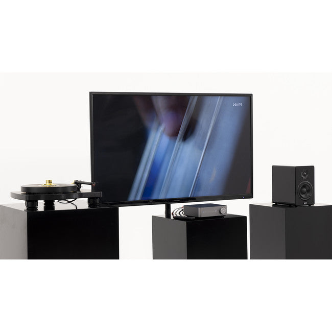 WiiMAMPS Integrated Streaming Amplifier
