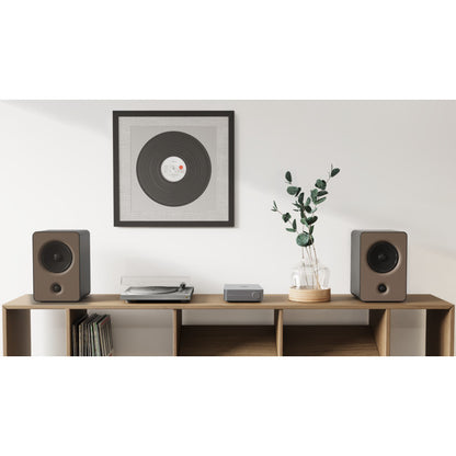WiiMAMPS Integrated Streaming Amplifier