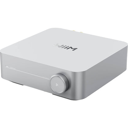 WiiMAMPS Integrated Streaming Amplifier
