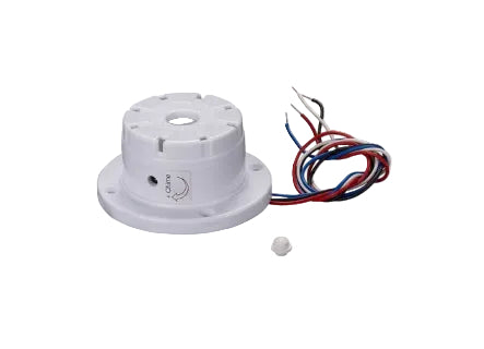 WP10